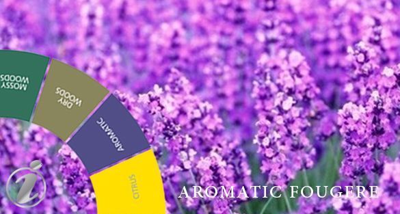 Aromatic Fougere