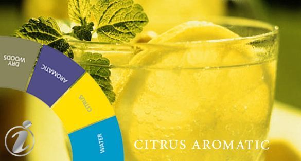 Citrus Aromatic