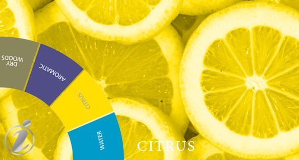 Citrus