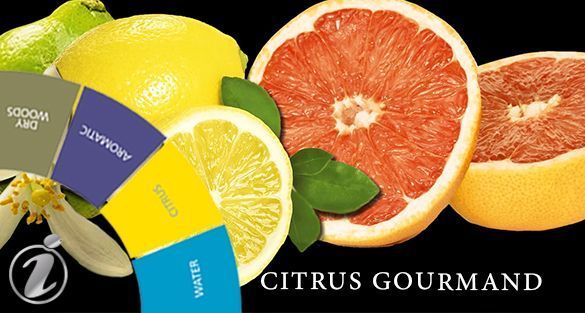 Citrus Gourmand