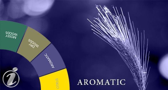 Aromatic