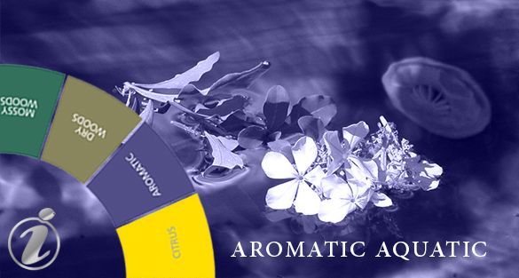 Aromatic Aquatic