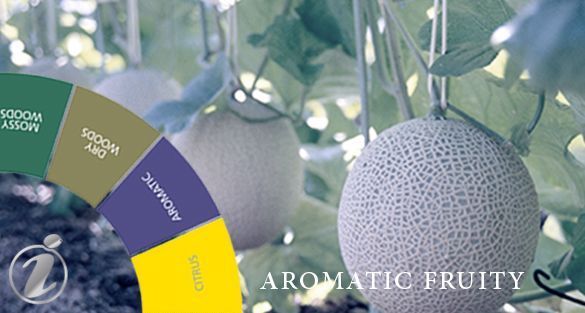 Aromatic Fruity