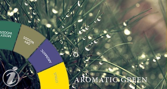 Aromatic Green