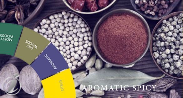 Aromatic Spicy