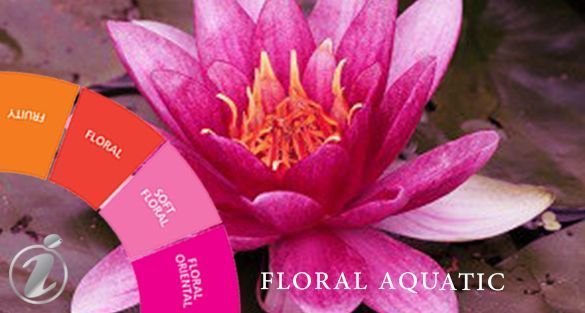 Floral Aquatic