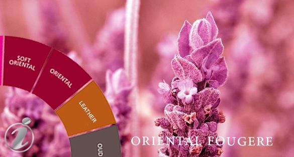 Oriental Fougere