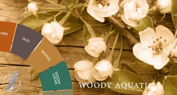 Woody Aromatic