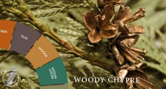 Woody Chypre