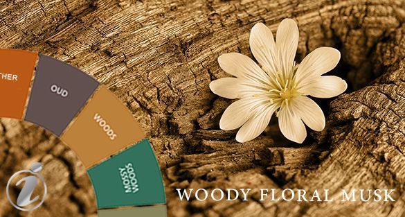 Woody Floral Musk