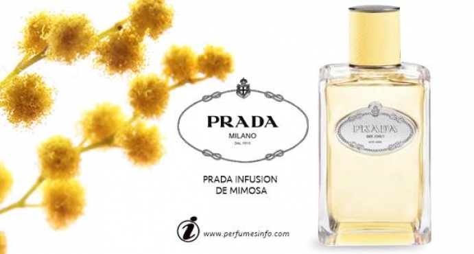 Prada Infusion de Mimosa New Fragrance_جديد بيت أزياء برادا عطر إنفيوجِن دي ميموزا