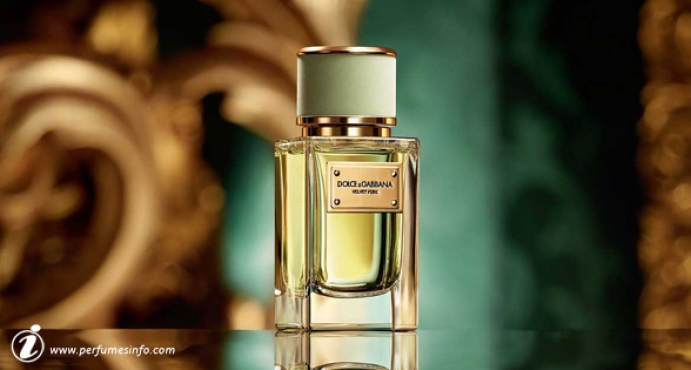Dolce&Gabbana Velvet Pure_اصدار جديد من دولشي غابانا عطر فلفيت بيور دولشي اند غابانا