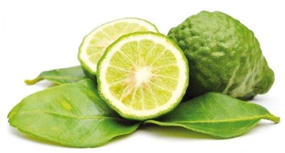 البرغموت Bergamot