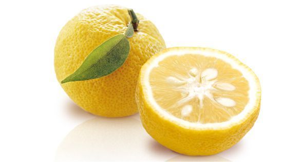 برتقال ياباني Yuzu