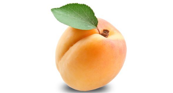 مشمش Apricot
