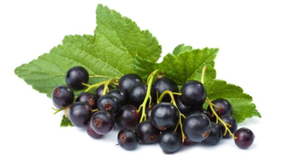 كرز اسود Black Cherry