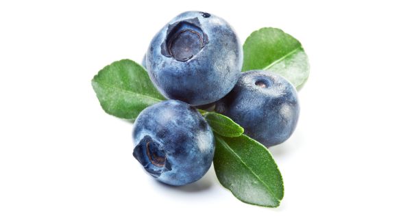 توت ازرق Blueberry