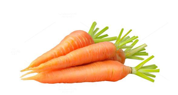 جزر Carrots
