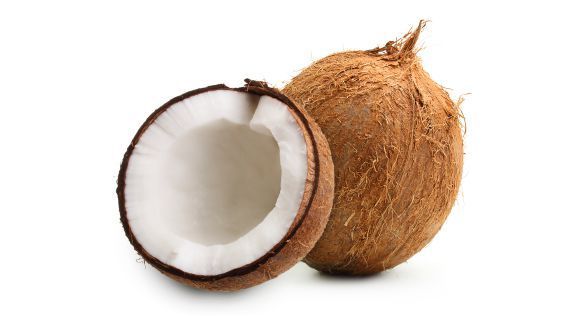 جوز هند Coconut