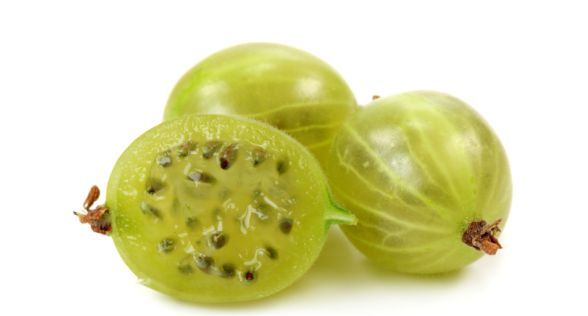 عنب الثعلب Gooseberry