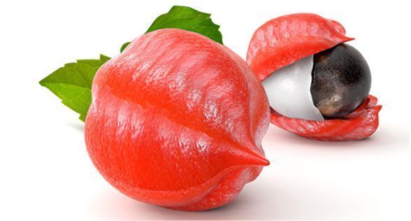 غوارانا Guarana