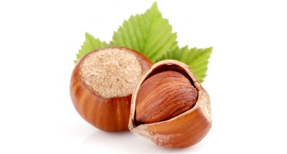 بندق Hazelnut