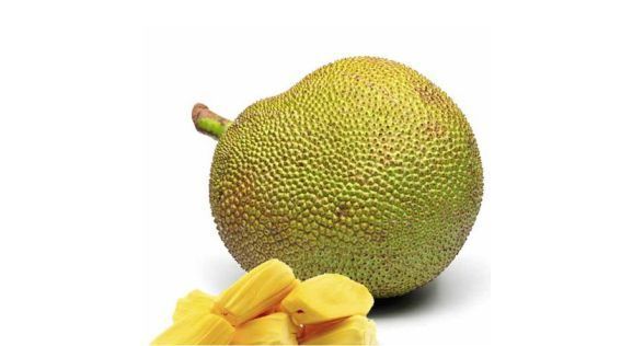 جاك فروت Jackfruit