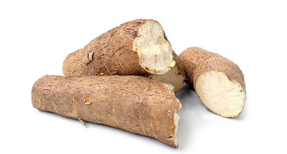 بفرة Cassava