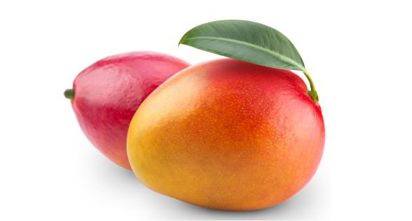 مانجو Mango