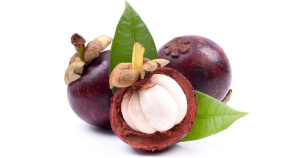 جوز جندم Mangosteen