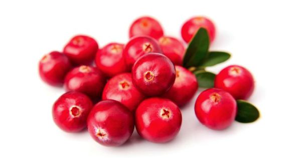 التوت الاحمر Red berries
