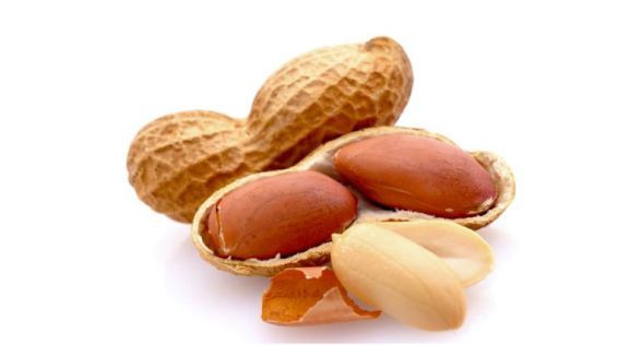 الفول السوداني Peanut