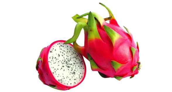 فاكهة التنين (Pitahaya) Dragon fruit