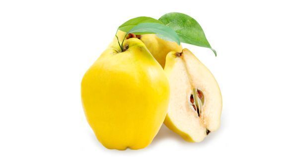 سفرجل quince