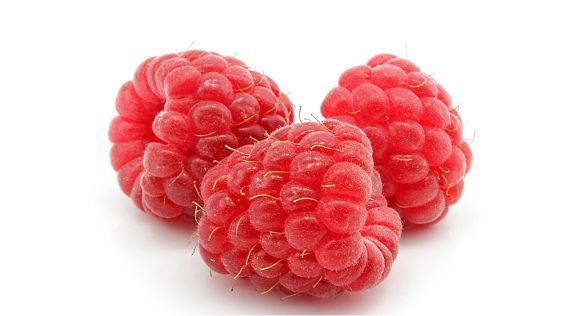 توت العُليق Raspberry