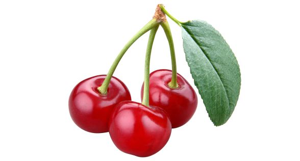 كرز حامض sour cherry
