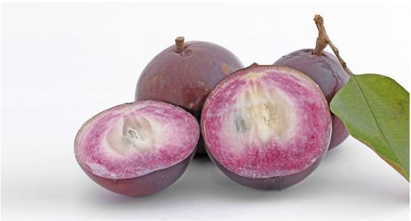 التفاحة النجمة Star Apple