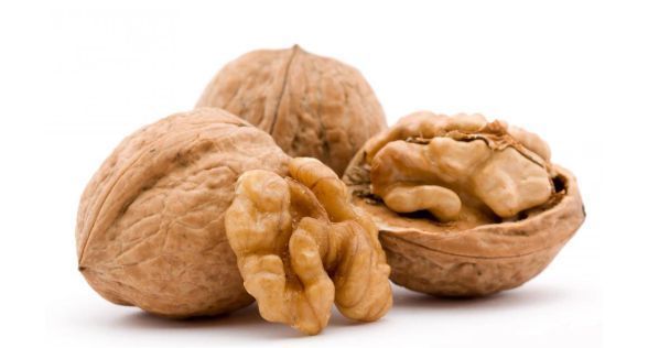 عين جمل walnut