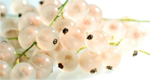 الكشمش الأبيض White currant