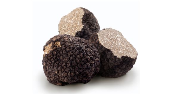 درنة Tuber