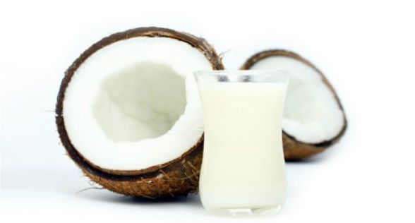 حليب جوز الهند coconut milk