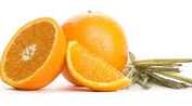ماندرين ايطالي Italian Mandarin