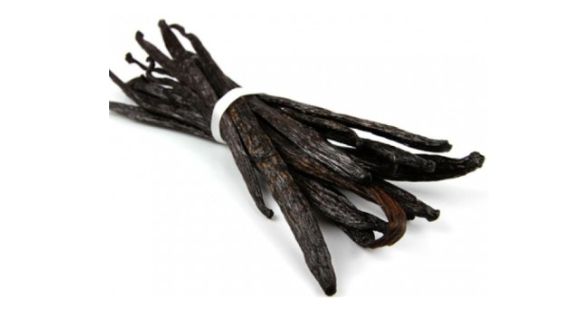 فانيلا Vanilla