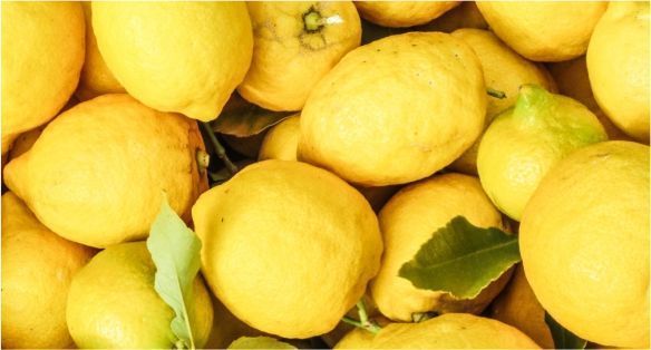 الليمون الايطالي Italian Lemon