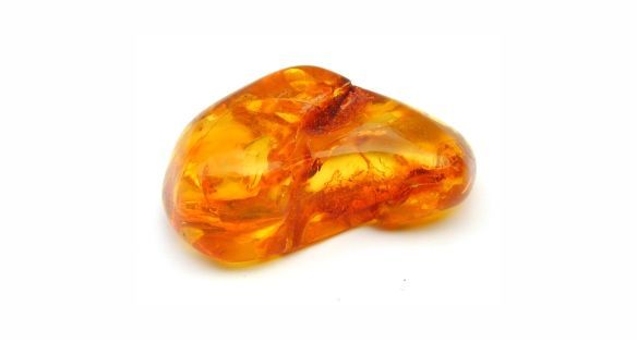 عنبر Amber