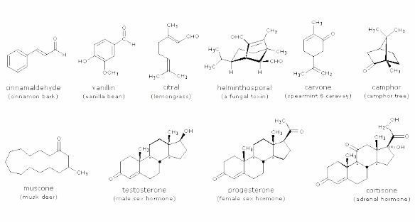 الألدهيدات Aldehydes