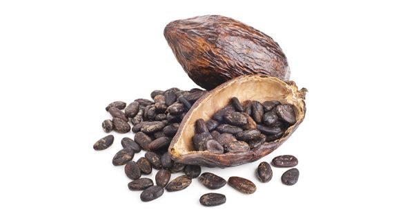 حبوب الكاكاو Cocoa beans
