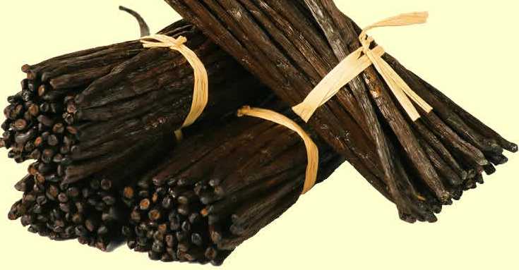 فانيلا مدغشقر Madagascar Vanilla