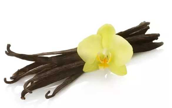 بوربون الفانيلا Bourbon Vanilla