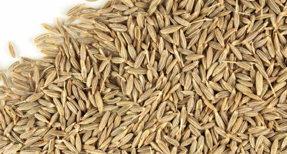 اليانسون Anise